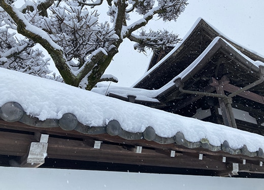 福井の気候に合わせた施工が可能